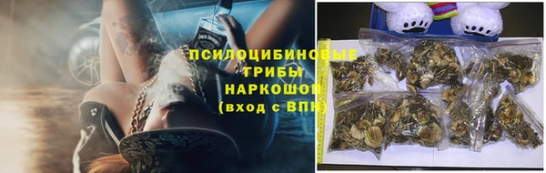 шишки Алексин