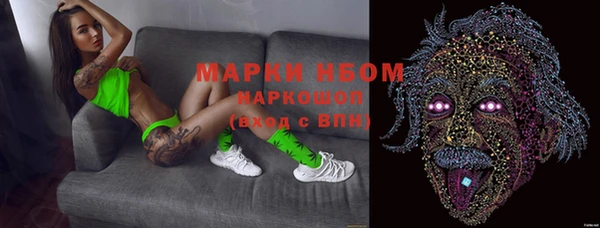 крисы Абаза