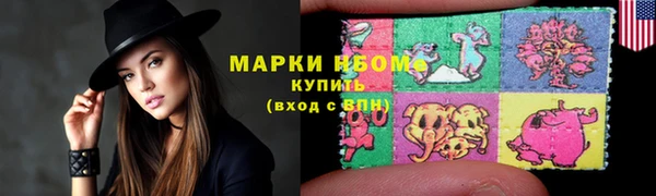 крисы Абаза