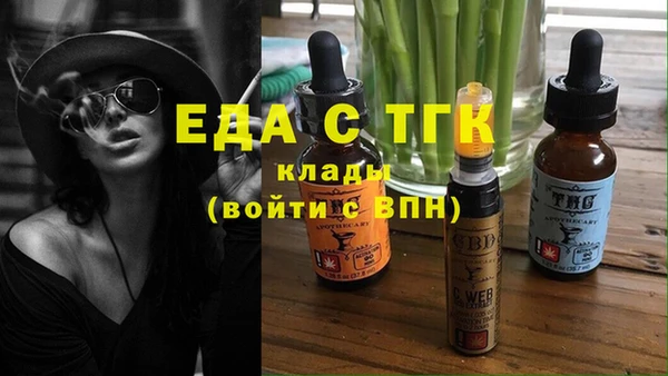 крисы Абаза