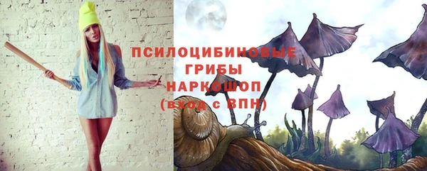 гидра Алексеевка