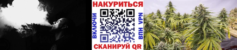 Бошки Шишки Ganja  Алагир 